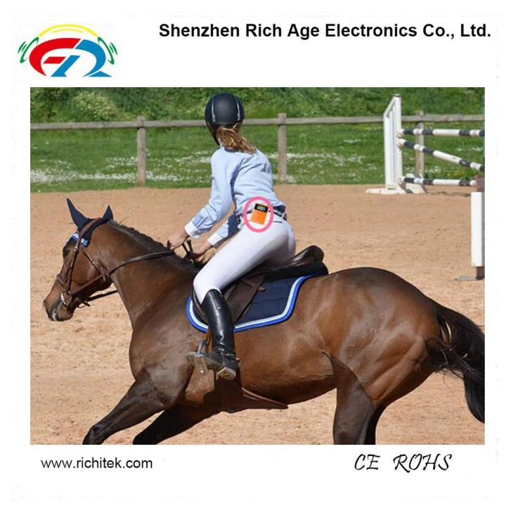 Навучанне язды на конях з бесправадной сістэмай перадачы гуку(图1)