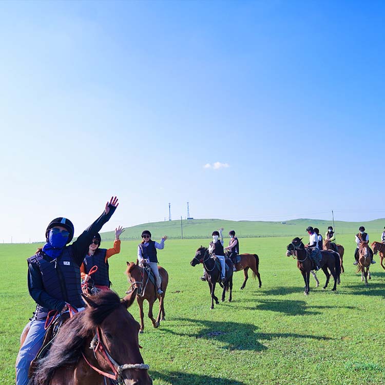 Навучанне верхняй язды Case